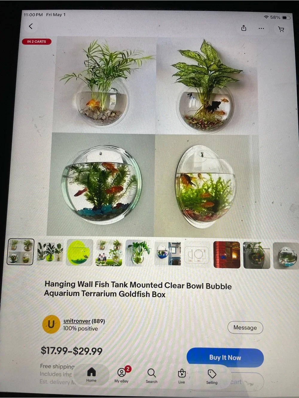 Hanging Clear Wall Fish Tank Bowl - Transparent